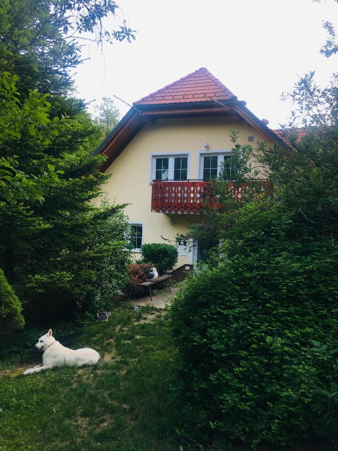 Nicehead Spacious Nest Between Maribor And Celje Loče pri Poljčanah Extérieur photo