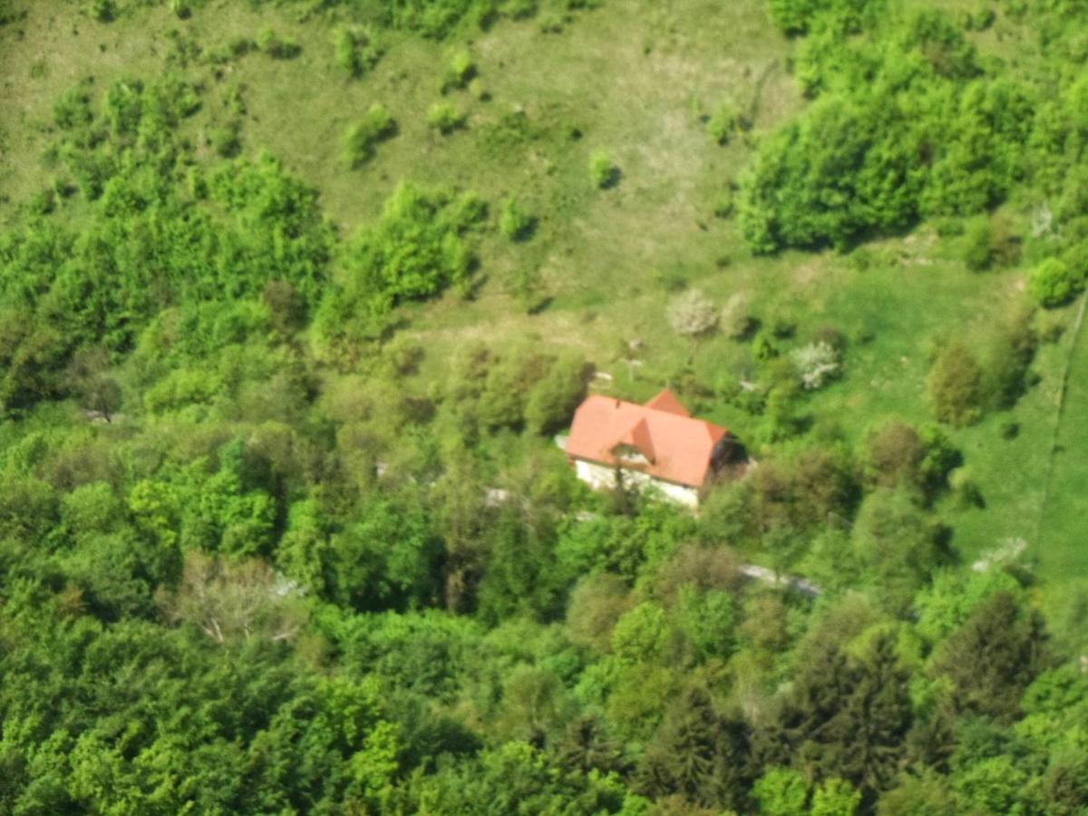 Nicehead Spacious Nest Between Maribor And Celje Loče pri Poljčanah Extérieur photo