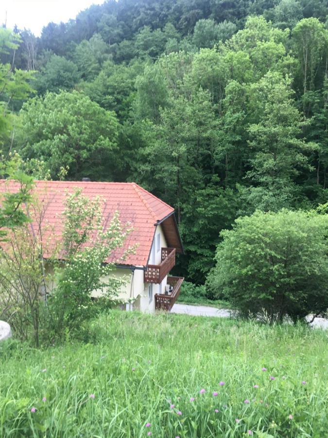 Nicehead Spacious Nest Between Maribor And Celje Loče pri Poljčanah Extérieur photo
